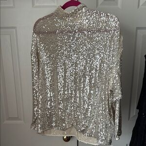 H&M Champagne/Silver Sequin Top